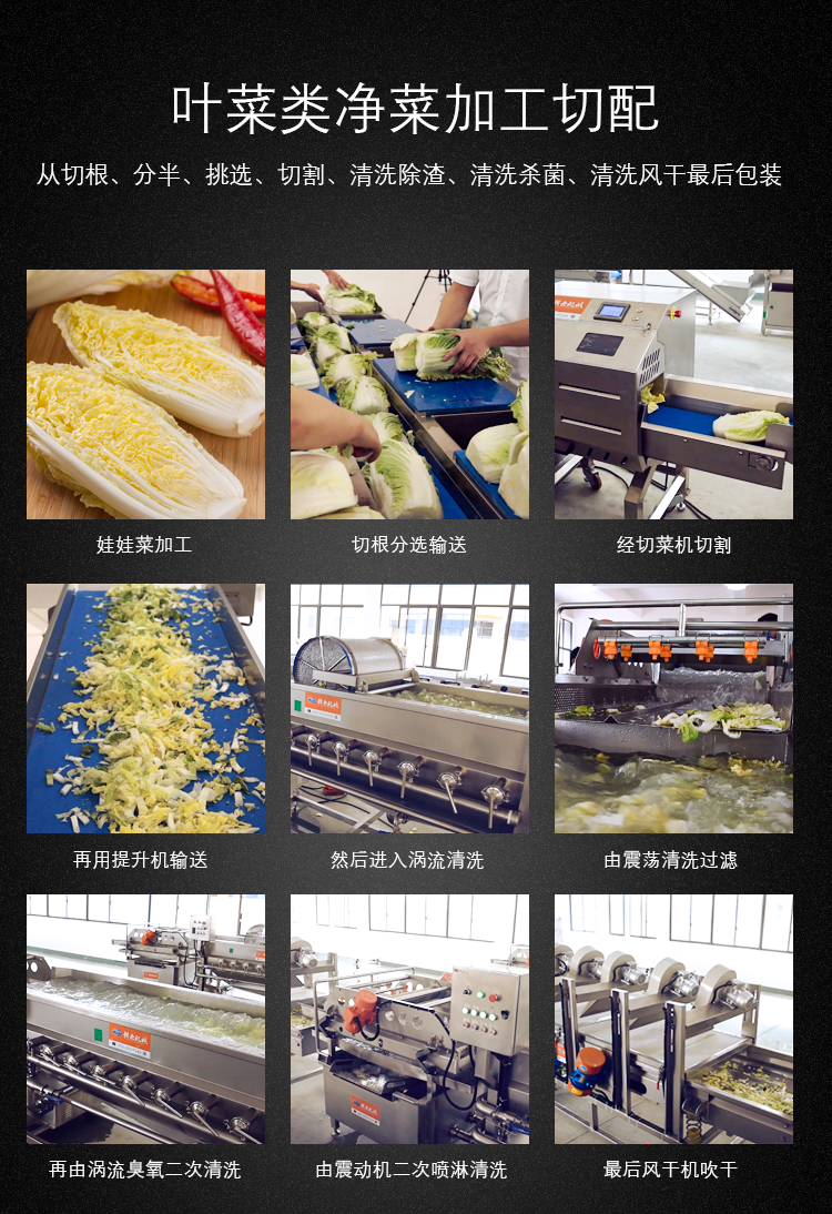 學校營養(yǎng)餐配送中心用的凈菜加工設備